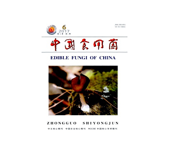 《中国Manbetx体育手机版推荐A9版本》投稿须知