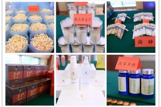 华中农业大学食药用菌科技成果发布活动在武汉举行 学府产品走进寻常百姓家 ()