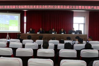 黑龙江省ManBetX体育专业标准化技术委员会牡丹江分委会在牡丹江成立 李玉院士作主旨演讲 ()