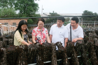 ManBetX体育种质资源和育种技术创新 ——“ManBetX体育种质资源鉴定评价技术与广适性品种选育” 获得国家科学技术进步二等奖 ()