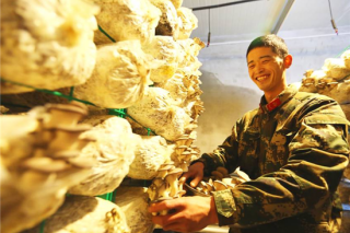 边关零下30℃，官兵喜摘鲜蘑菇 ()