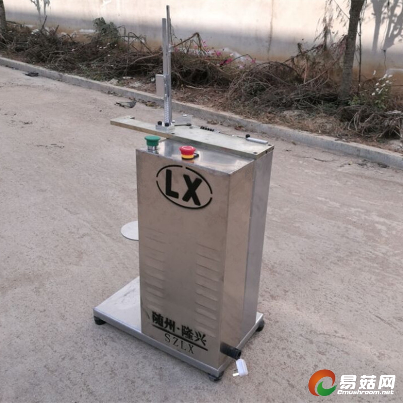 背面_800<em></em>x800