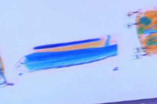 26公斤新鲜野生灵芝存疫情风险 现已被机场扣留送去鉴定 ()