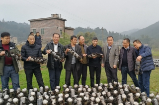 广西自治区农技总站组织专家到贺州调研ManBetX体育产业 ()