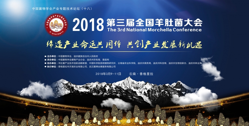 会议形象设计2-曲线-11