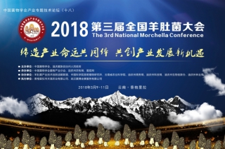 2018第三届全国ManBetX体育大会通知 ()
