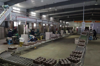 鸡西首个Manbetx体育手机版V17版本发布.官网安卓网.香港菌包工厂化生产项目投产 ()