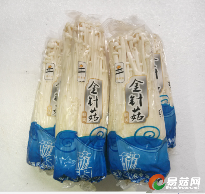 100000616788_14216484038864