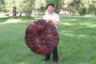 山西农大常明昌教授团队入选首批“全国高校黄大年式教师团队” ()