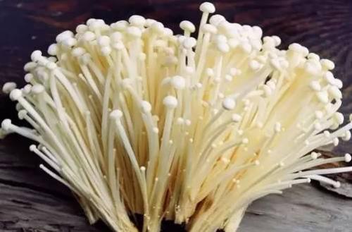 u=492332385,3854343534&fm=27&gp=0