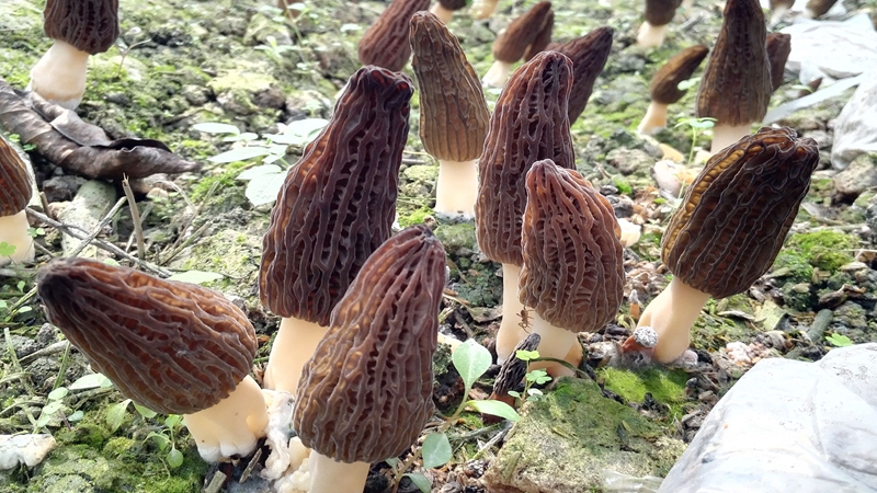 QQ图片20180227102514