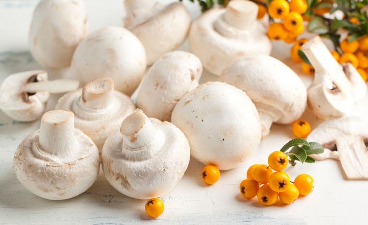 2786001_144448311000_2