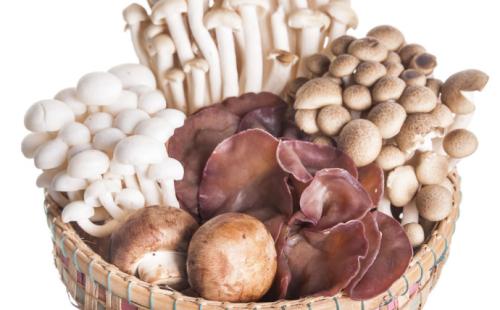 u=3330821432,3129550522&fm=27&gp=0