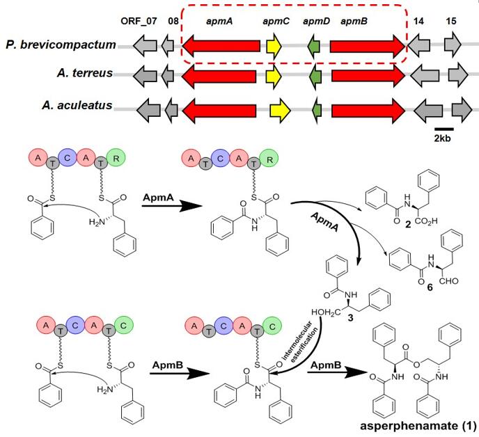 c55ac5db-c8de-4e62-9534-6fa069b717b8