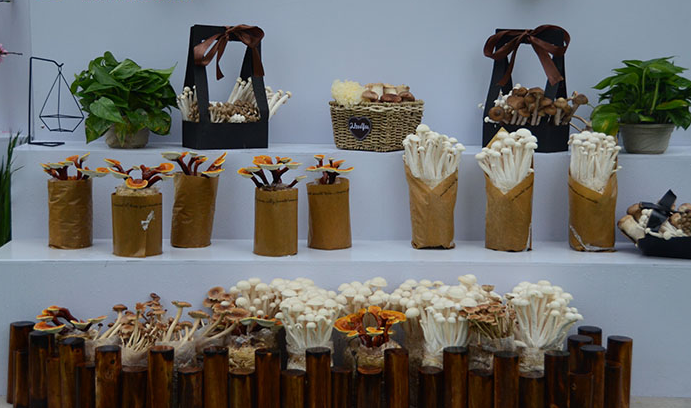 QQ截图20180316142024