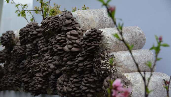 QQ截图20180316142327