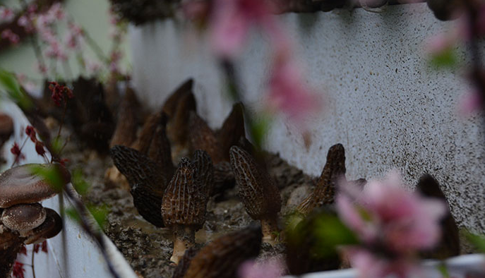 QQ截图20180316142346