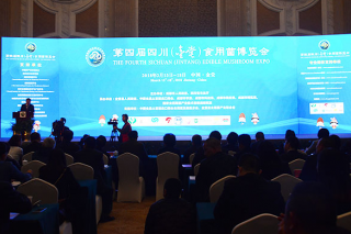 第四届四川（金堂）Manbetx体育手机版V17版本发布.官网安卓网.香港博览会盛大开幕