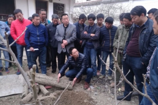 甘肃省科技重大专项天麻ManBetX体育培训活动举办 ()