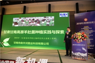 路等学：ManBetX体育亩产量远未达到上限 发展空间巨大 ()