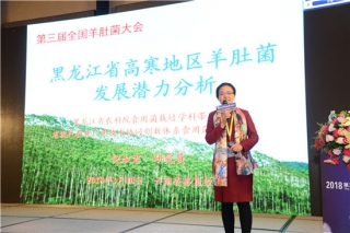 倪淑君：黑龙江省资源丰富 具有发展ManBetX体育的良好优势 ()