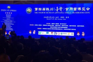 新华网：Manbetx体育手机版V17版本发布.官网安卓网.香港产业成为四川金堂落实乡村振兴战略的主抓手 ()