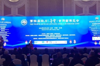 金堂将建“航天育种成果选育搭载示范推广基地” ()