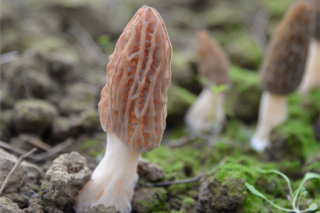 优惠报名今日截止 2018第三期全国ManBetX体育ManBetX体育高级研修班将于湖北武汉举办 ()