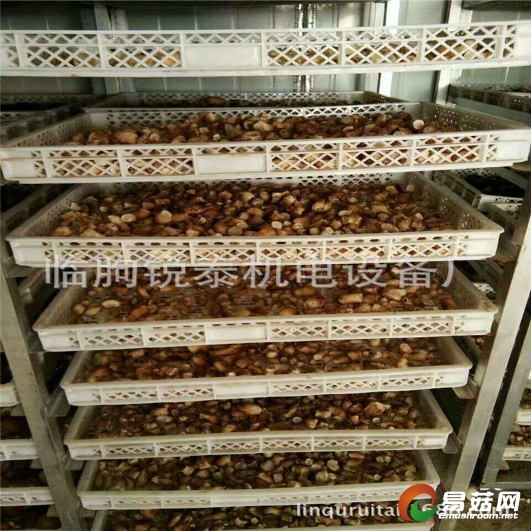 菌类烘干机