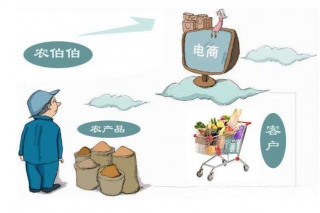 农村电商：插上“e”翅膀“链接”大市场 ()