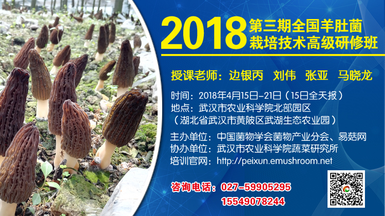 QQ图片20180303203521