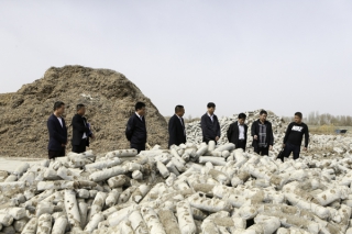 新疆：大力推动“万亩亿元”扶贫工程 调研组调研Manbetx体育手机版V17版本发布.官网安卓网.香港企业 ()