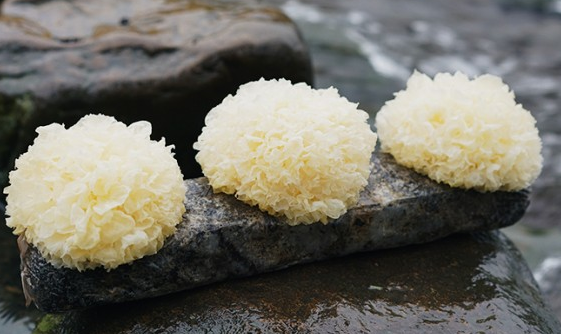 Manbetx体育手机版V17版本发布.官网安卓网.香港 古田 银耳