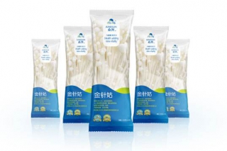 众兴菌业(002772)行业领先的专业型ManBetX体育企业