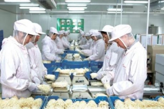 天水众兴菌业科技股份有限公司首次公开发行股票网上定价发行申购情况及中签率公告