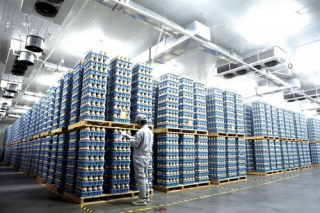 众兴菌业：成本取胜 研发突围