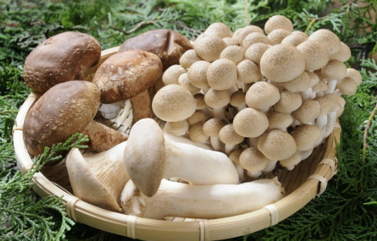 QQ截图20180328174643