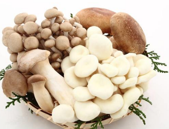 QQ截图20180328174117