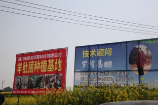 2018年全国珍稀Manbetx体育手机版V17版本发布.官网安卓网.香港精准扶贫培训班学员前往武穴市参观Manbetx体育手机版V17版本发布.官网安卓网.香港基地 ()