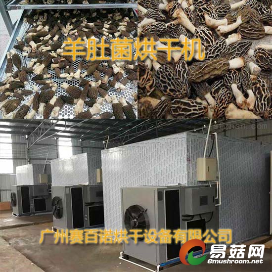 Manbetx体育手机版V17版本发布.官网安卓网.香港烘干机