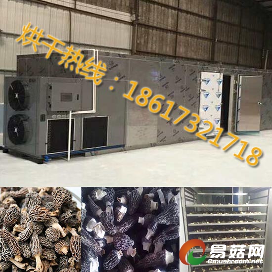 Manbetx体育手机版V17版本发布.官网安卓网.香港烘干房