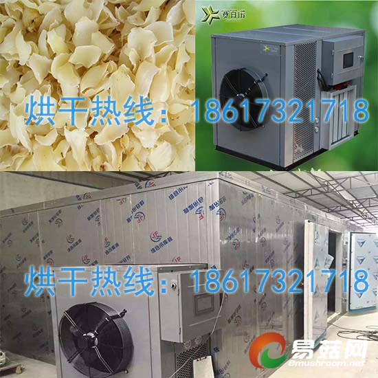 百合干烘干机