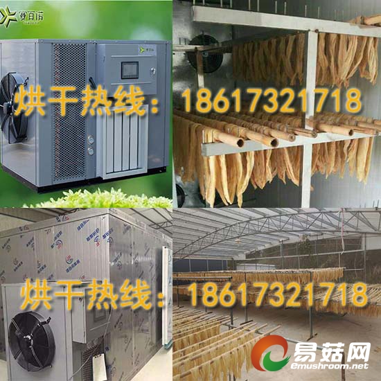 腐竹烘干机1