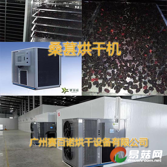 桑葚烘干房