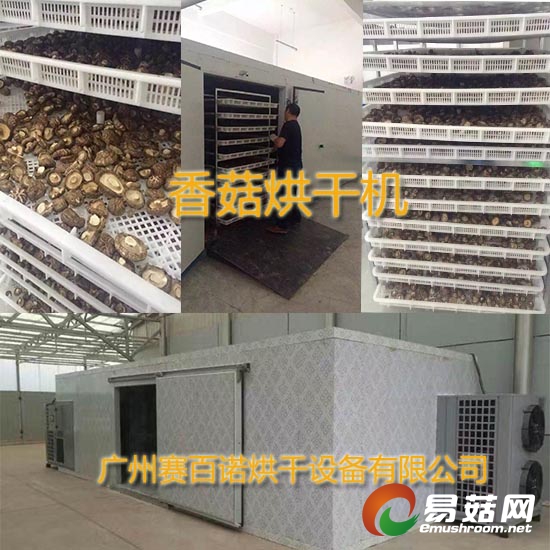 蘑菇烘干机