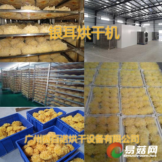 空气能银耳烘干机