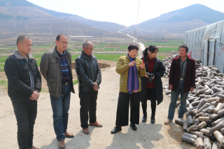 黑木耳退菌，专家来支招 ()