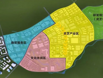 安徽旌德县建设灵芝小镇　打造大健康产业 ()