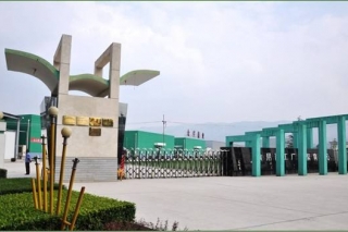 众兴菌业募投项目效益释放 一季度增利七成多 ()