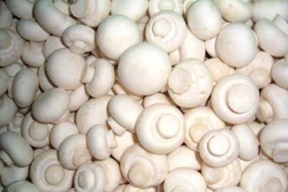 双孢蘑菇优质保鲜技术